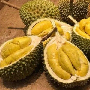 Fresh Durian Fruit High Quality Europe Supplier