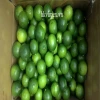 Fresh fruit from Vietnam/ fresh lime/ fresh green lemon seedless