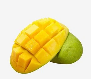 Fresh Mango from Philippines EU Quality direct Supplies.
