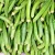 Import Fresh Okra Fresh Vegetables, Fresh Lady Finger, Organic Fresh Native products fresh from China