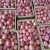 Import Fresh Onion In Bulk Cheap Red/Yellow Onions For Sale from China