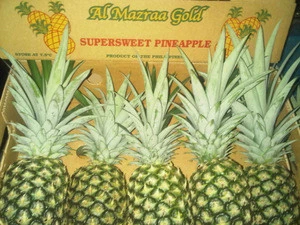 Fresh Pineapple- Variety MD2