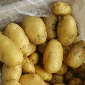 Fresh Potatoes.