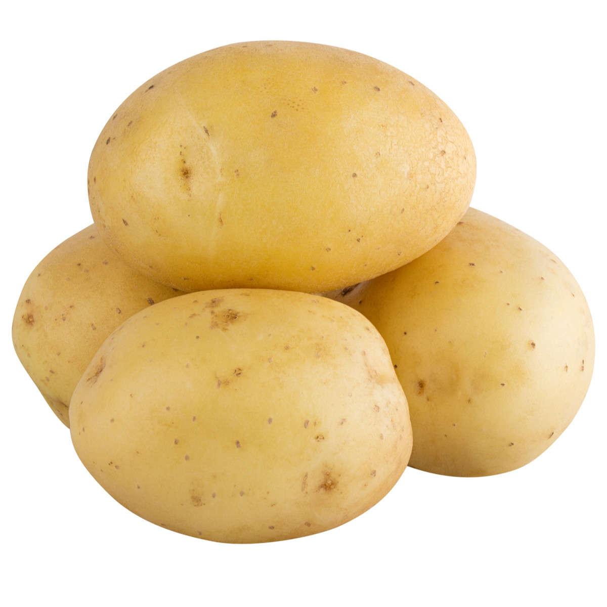 Buy Fresh Premium Potato from SS EXIM, India | Tradewheel.com