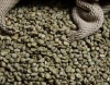 Fresh Quality Coffee Green Beans Robusta In Austria