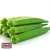 Import Fresh Quality Lady Finger (Okra) from Pakistan