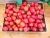 Import Fresh tomatoes / Plum / Cherry (Lam Son) from Vietnam