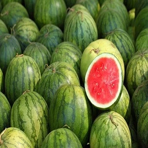 FRESH WATERMELONS FOR SALE