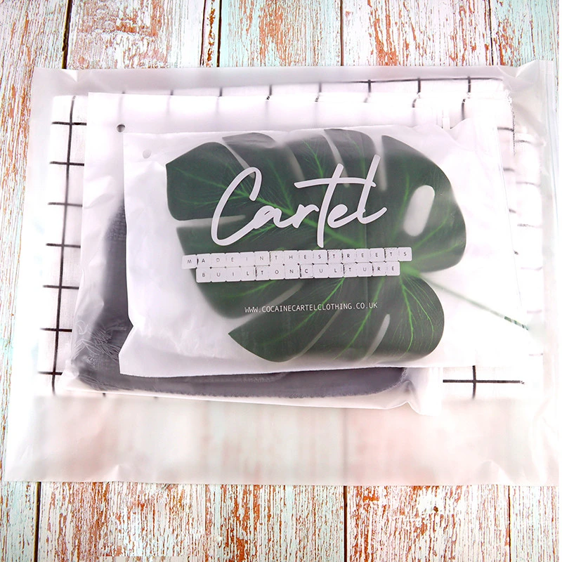Frosted matte Frosted PE custom size printed zipper bag