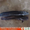 frozen seafood chinese supplier wr fish
