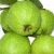 Import Fruits fresh Guava 2.5 kg from Thailand