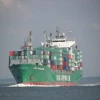 Full 20FT/40FT/45HQ container Sea Freight shipping rates from ShenZhen/shanghai China logistics service to Bahamas Nassau