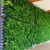 Import Garden Supplies Decoration Green Wall In Home & Garden Decor Plastic Pots Indoor Vertical Garden System from China