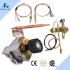 Gas water heater spare parts/Thermostatmostat