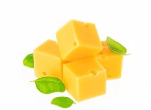 Gauda Cheese block Polish dairy best quality
