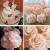 Import Gold Roses w/Stem for DIY Christmas Tree Xmas Wedding Party Centerpieces Arrangements Party Decor from China