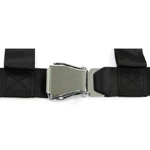 Gold supplier 24-Points safety low price Racing Buckle sports car safety belt