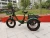 Import good quality 20inch 1000w electric fat tyre  tricycle 500w adult mid motor double battery electric bike from China
