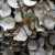 Import Good quality raw white mother of pearl shell art craft for decoration from China