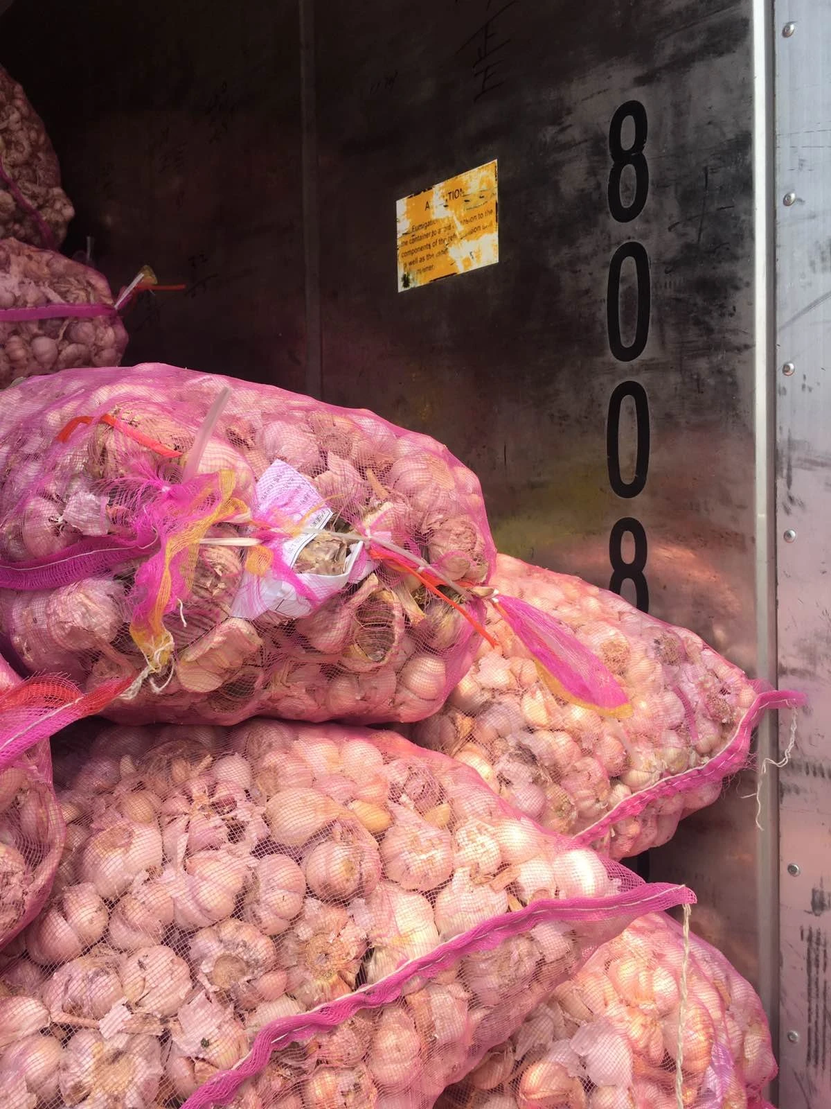 Good Selling Price Agricultural Vegetables And Spices Fresh Garlic From Trung My Company Viet Nam