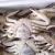 Import Good Taste Wholesale Frozen Swimming Crab from China