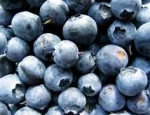 Grade A frozen fresh fruit frozen blueberry prices