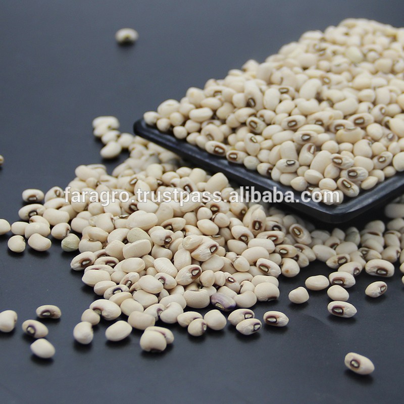 GRAIN Organic Rich nutrition wholesale black eye dry beans from Peru