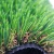 Import Guangzhou Sports artificial lawn grass brush flooring carpet from China
