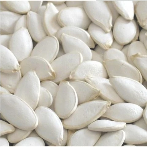 HACCP certification hot sale China  factory price snow white pumpkin seeds