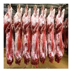 Halal  Fresh Buffalo  Boneless Meat/ Frozen Beef Omasum/ Frozen Beef for sell