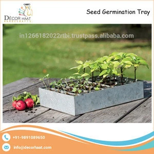 Hand Crafted Galvanized Metal Seed Germination Tray