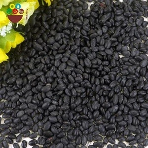 healthy high quality black kidney beans