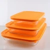 Heat Resistant Tray High Borosilicate Glass Baking Dishes Pans With colored plastic Lids