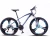 Import High-carbon steel adult bike,suspension fork disc brake road bike bicicletas ,mountain bicycle for sale from China