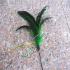 High quality dexterous handle magic feather cleaning duster