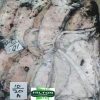 High Quality Frozen Cuttlefish (Whole Round) at Best Price from Pakistan