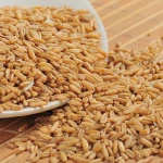 High Quality Oats, Oats Flour, Oats Rolled