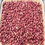 High Quality Peanuts / Groundnut