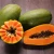 Import High Yield Taiwan Red Lady papaya Seedling /baby plant for growing from China