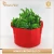 Import Home garden fabric grow bags smart plant vegetable grow bags from China