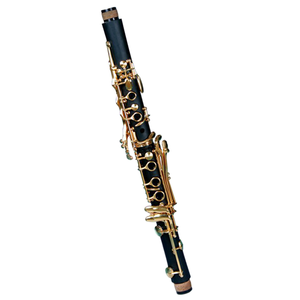 Hot sale 18 keys Bb tone gold plated ebonite clarinet