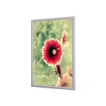 Hot Sale Factory Direct Price Customizable Outdoor Led Advertising Light Box