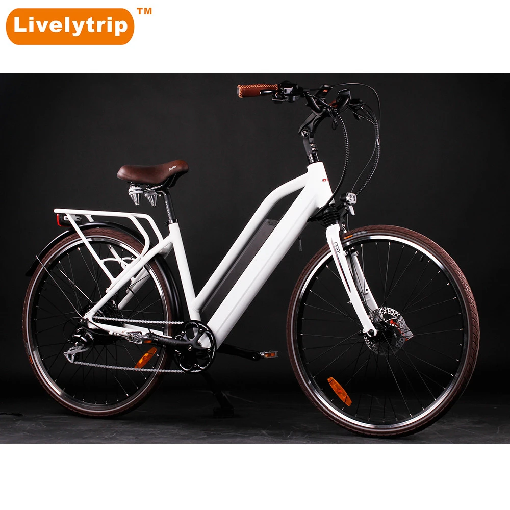 Hot Sale Green City Electric BikeChinese Cheap e Bike Electric Bicycle for Sale