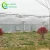 Import Hot Selling Products plastic pipes and joints for greenhouses for mushroom from China
