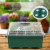 Import Hot selling seed tray seedling starter trays plant grow fashionable seedling pot tray from China