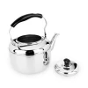 House Appliances Multi-color Stainless Steel Whistling Kettle