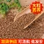 Import Huantai Golden yellow  500g healthy tartary buckwheat from China