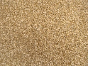 indian origin quinoa