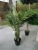 Import Indoor artificial palm trees plants bonsai plants decorative for sale from China