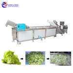 industrial ozone vegetable and fruit washing machine air bubble ozone fruit and vegetable washer machine